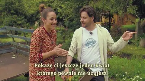 Przedpremierowo: Kwiaty jadalne