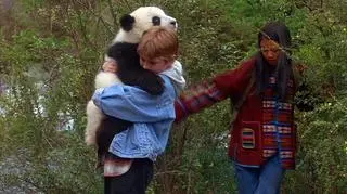 Przygoda z pandą