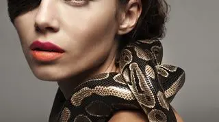 Metamorfozy Pauliny Papierskiej