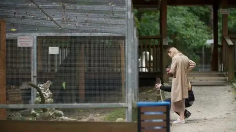 Ślub od pierwszego wejrzenia - sezon 7, odcinek 6