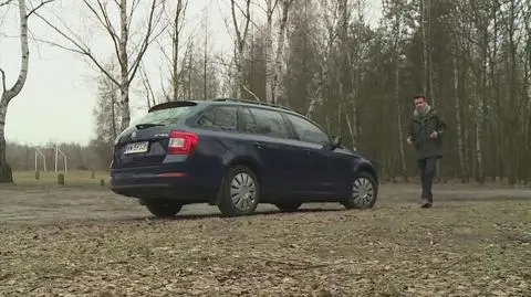 Torby dopasowane do bagażnika