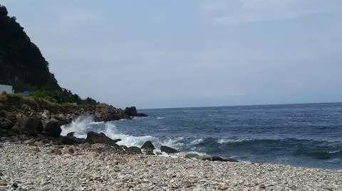 Szalona podróż Bruna i Norberta