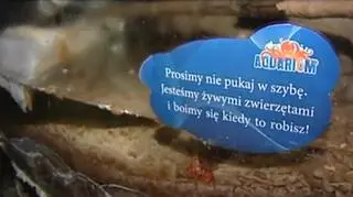 Wyładował złość na zwierzętach