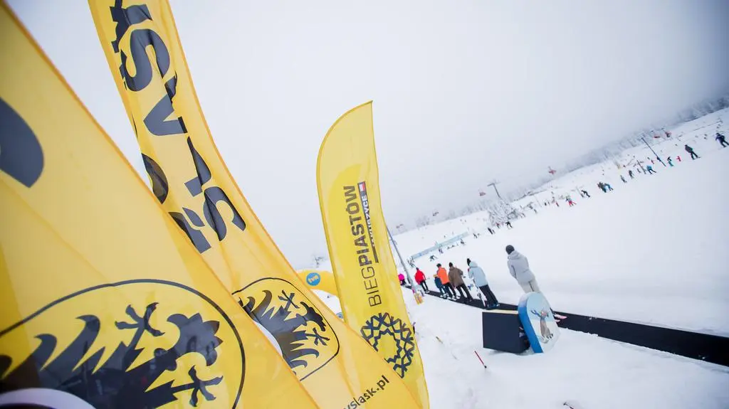 Zieleniec 2019