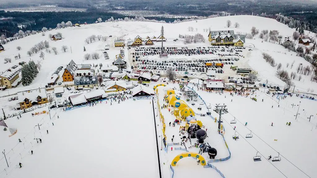 Zieleniec 2019