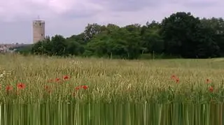 Ziemia Radomska: Atrakcje dla ciała i ducha