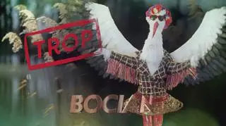 Mask Singer: "Bocian" to muzyczny ptak!