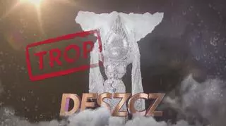 Mask Singer: "Deszcz" promuje polskę na całym świecie!