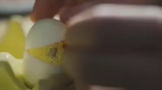 Patenciary: jajeczne kurczaczki