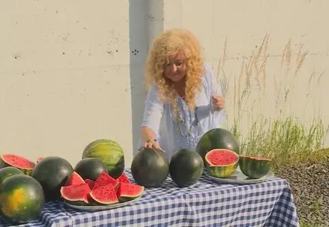 Straż pożarna i donos na menadżerkę. Grecka tragedia w Tychach! Kuchenne rewolucje w "Zorbie"