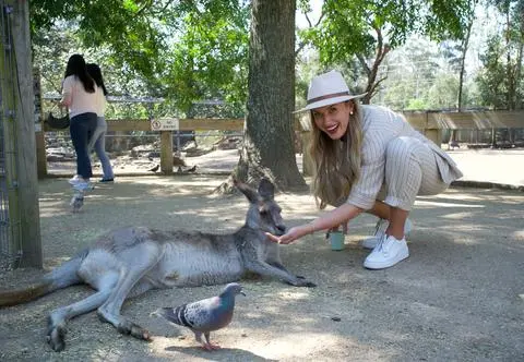 Charakterystyka wombatów, koali i kangurów. "Bliskie spotkanie z australijską naturą"