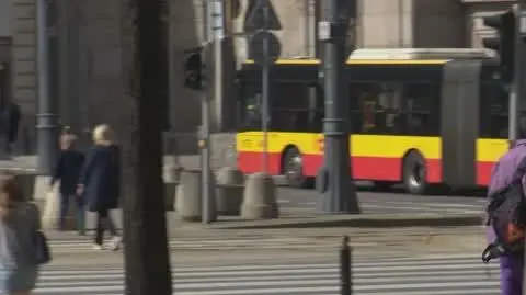 Miejska dżungla: Kto powinien sprzątać psie kupy?