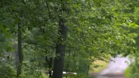 Co słychać?: O dofinansowaniach do rowerów elektrycznych