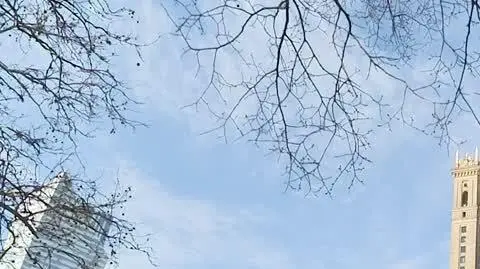 Miejska dżungla: Co zobaczymy w nowym programie TVN Style?
