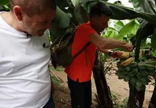 Smakują jak jabłka i czereśnie, ale to... banany! Czym jeszcze wyróżniają się kanaryjskie platany?
