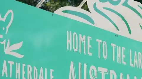 Jestem z Polski: Jakie zwierzęta żyją w Australii?