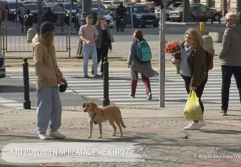 Właścicielka nie posprzątała po psie. Czy ktoś zareagował?