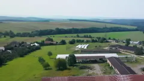 "Jestem z Polski": Słowacja - produkcja owczego sera