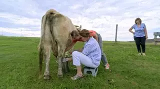 "Zawodowa Anka": Ania wydoiła krowę po raz pierwszy w życiu. Jak jej poszło?
