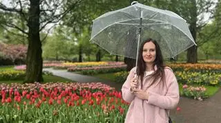 Jestem z Polski: Paulina, Holandia