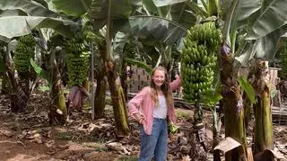 "Jestem z Polski": Banany symbolem Wysp Kanaryjskich?