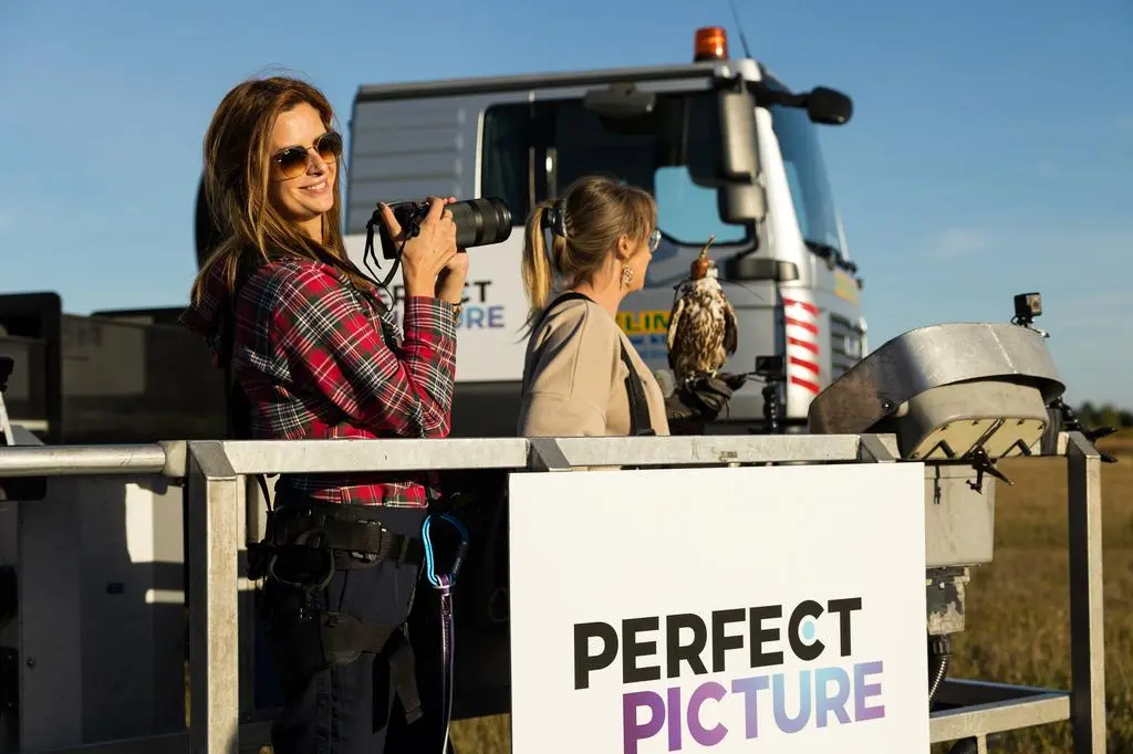 Perfect Picture