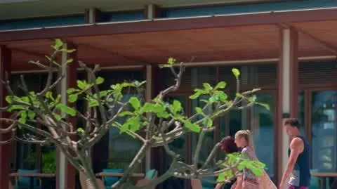 Hotel Paradise 8: Konkurencja 