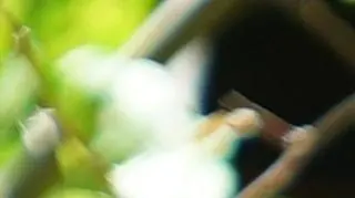 Hotel Paradise: Ewelina 