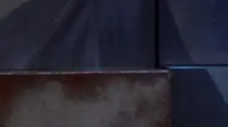 Czy Katarzyna Nosowska jest zaj**ista?