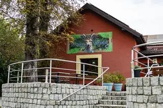 Kuchenne rewolucje 31, odcinek 13