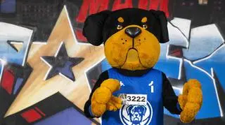 Mam Talent!: Maskotka Roti 