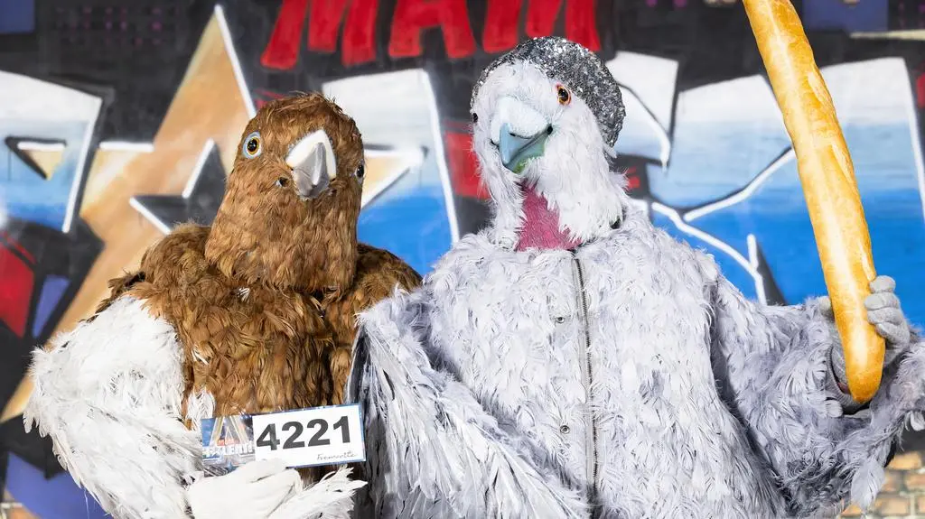 Mam Talent!: Pigeline z Concrete Chickens 
