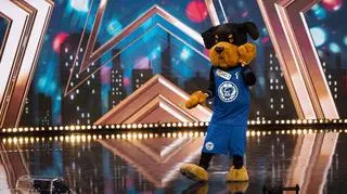 Mam Talent!: Maskotka Roti 