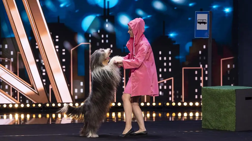 Mam Talent! 16: Ewa Michrowska i Zozo