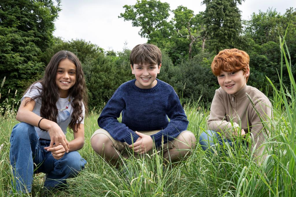 Harry Potter serial