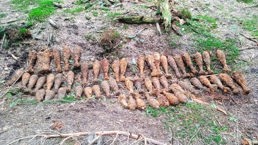 Wybuchowe odkrycia na S19