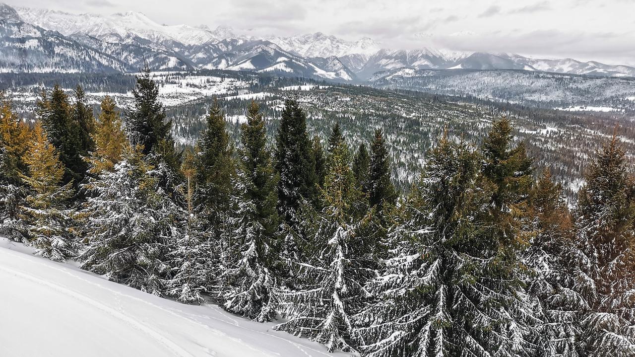 Bukowina Tatrzańska – zimowa stolica relaksu i górskich emocji