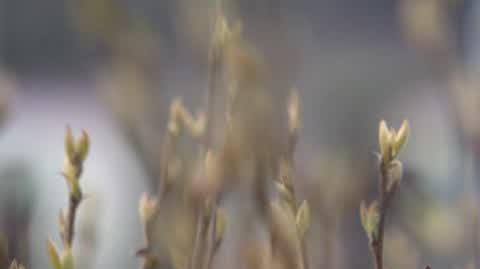 250324 raport turbo_4692_Sub_01