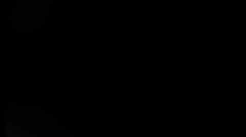 241227_NIE_IDZIEMY_NA_SYLWESTRA_2024_fragm2_www