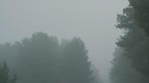240913_slub_od_pierwszego_wejrzenia_odc3_1_ppr