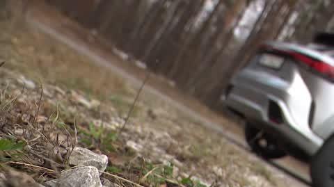 Lexus RX 500H – nietypowa hybryda