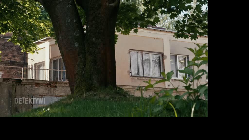 375DETEKTYWI_ODC_106_1