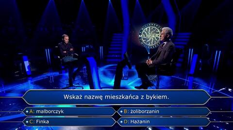 Tomasz grał o 125 tysięcy. Poległ na pytaniu: Wskaż nazwę mieszkańca z bykiem
