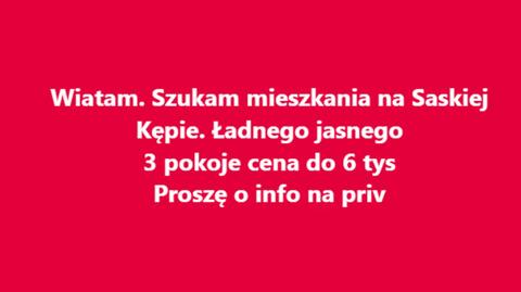 Viola Kołakowska szuka mieszkania 