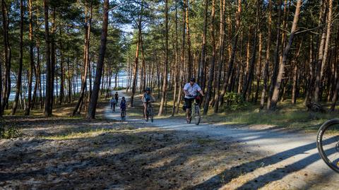 Krynica Morska