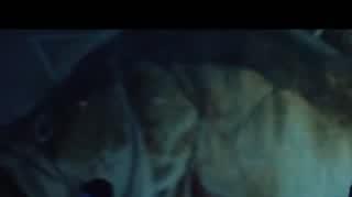240205_Odwilz_odc_4_tc17 www
