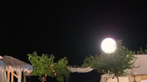 220414_40v20_odc38_1