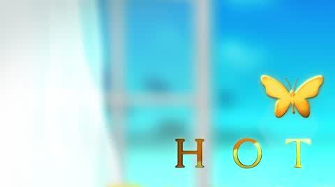 Hotel Paradise 8