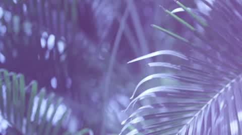 221004_hp_odc27_tc13_www