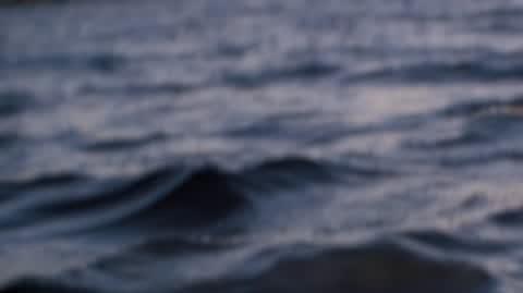 Johnny_Lyrics video_wave_17082022